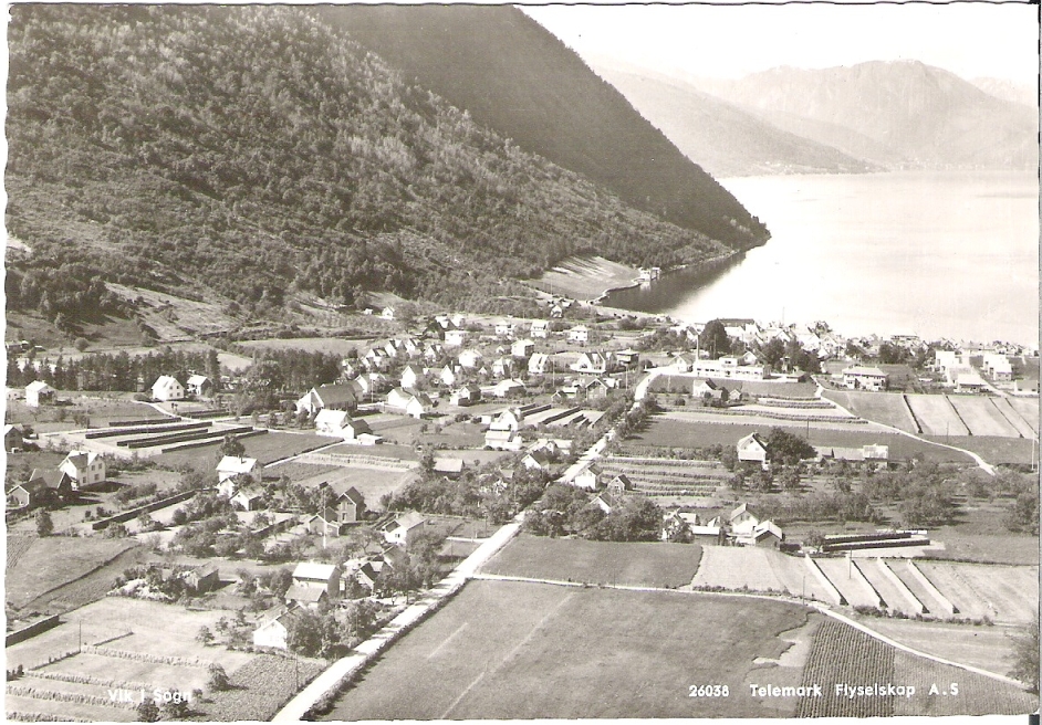 Vik i Sogn. Telemark Flyselskap 26038
