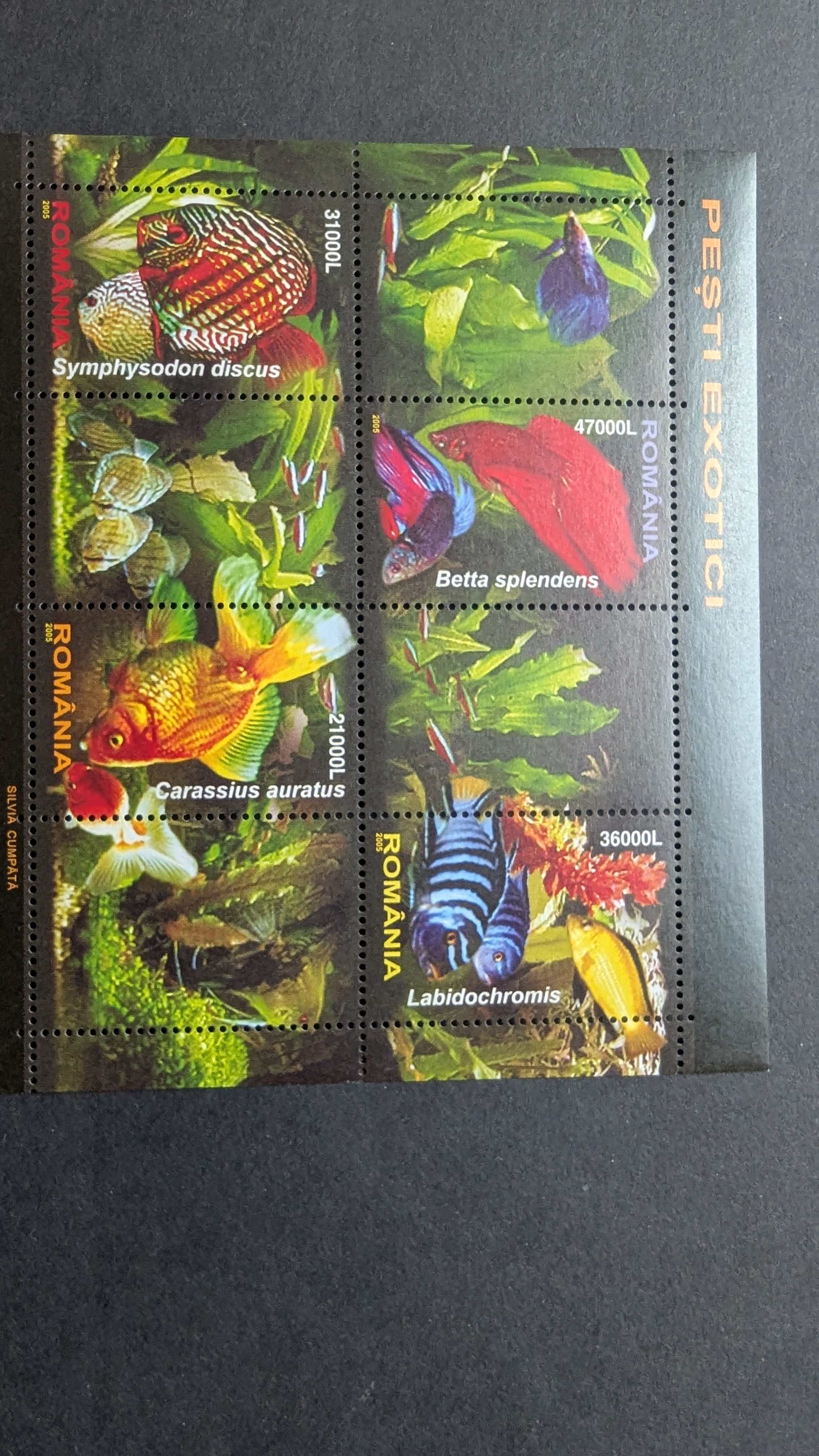 Romania 2005 block Mi 351**