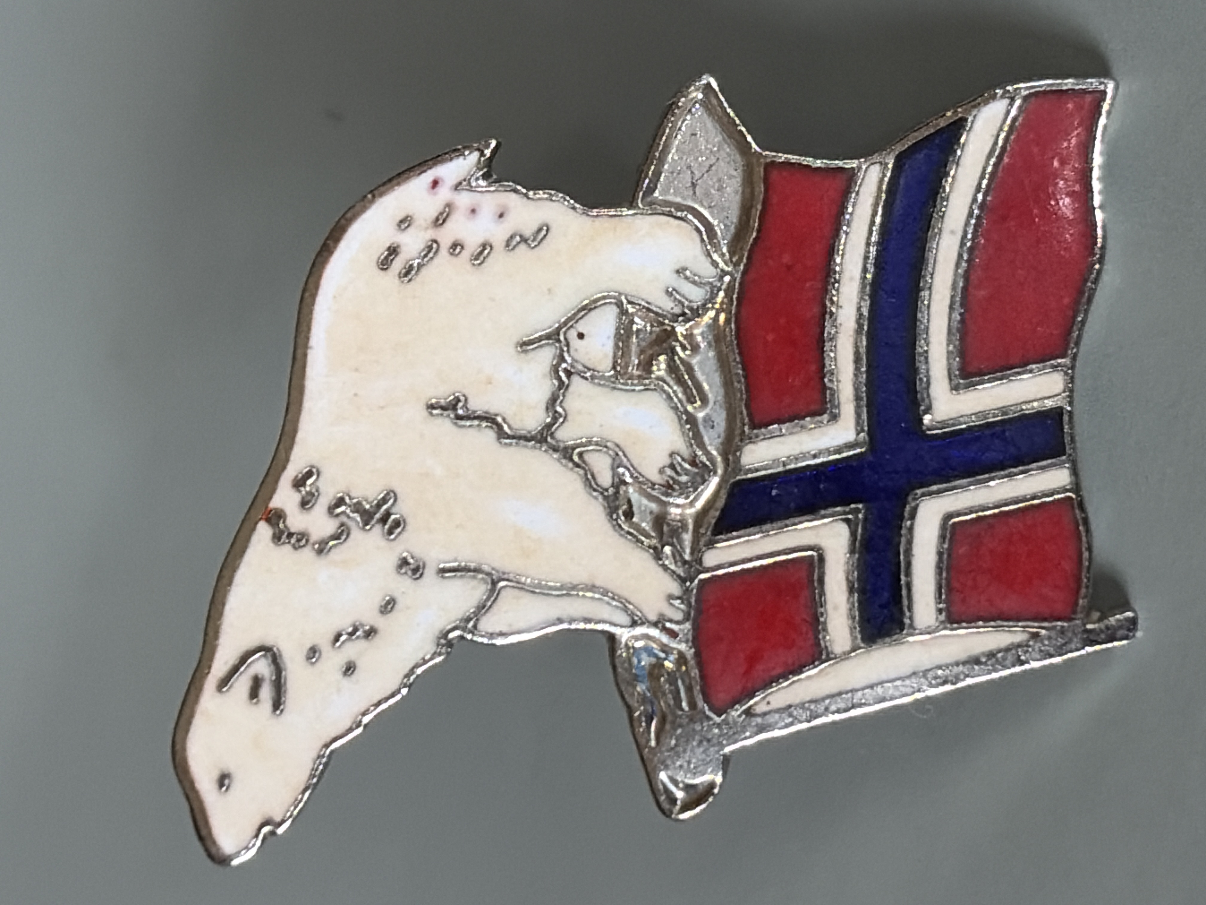 Isbjørn på norsk flagg