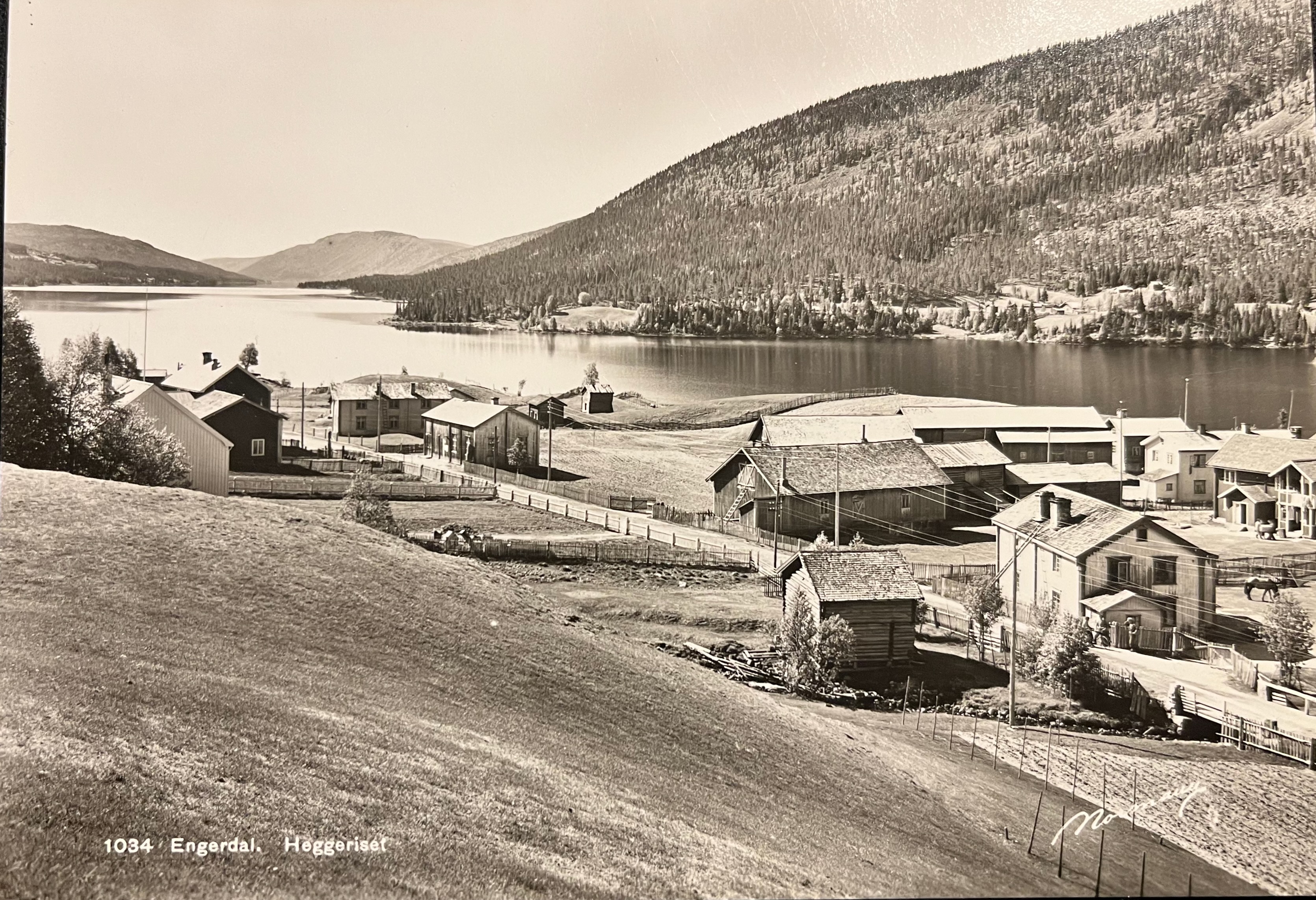 Engerdal. Heggeriset