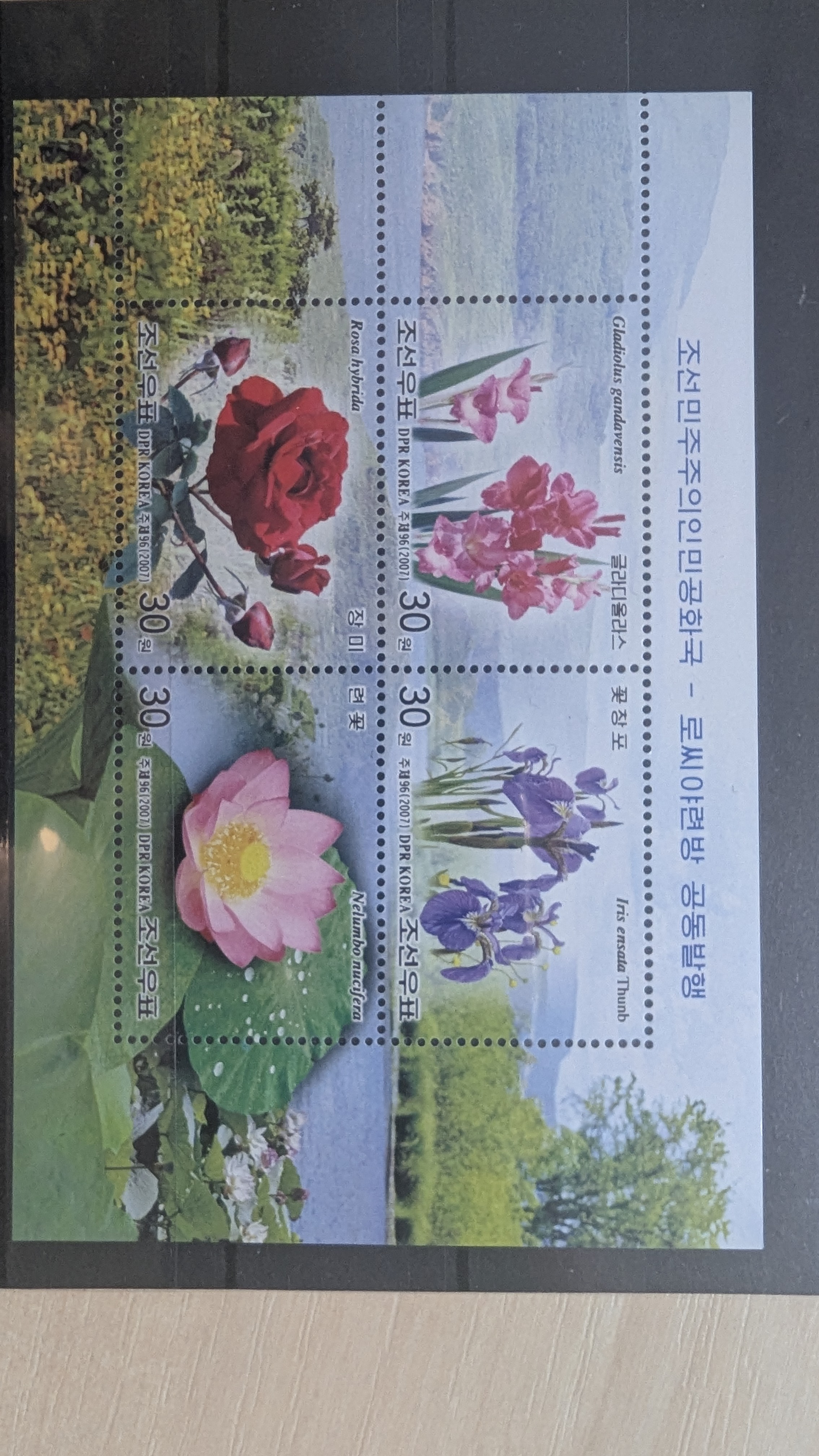 Blomster Minni ark **