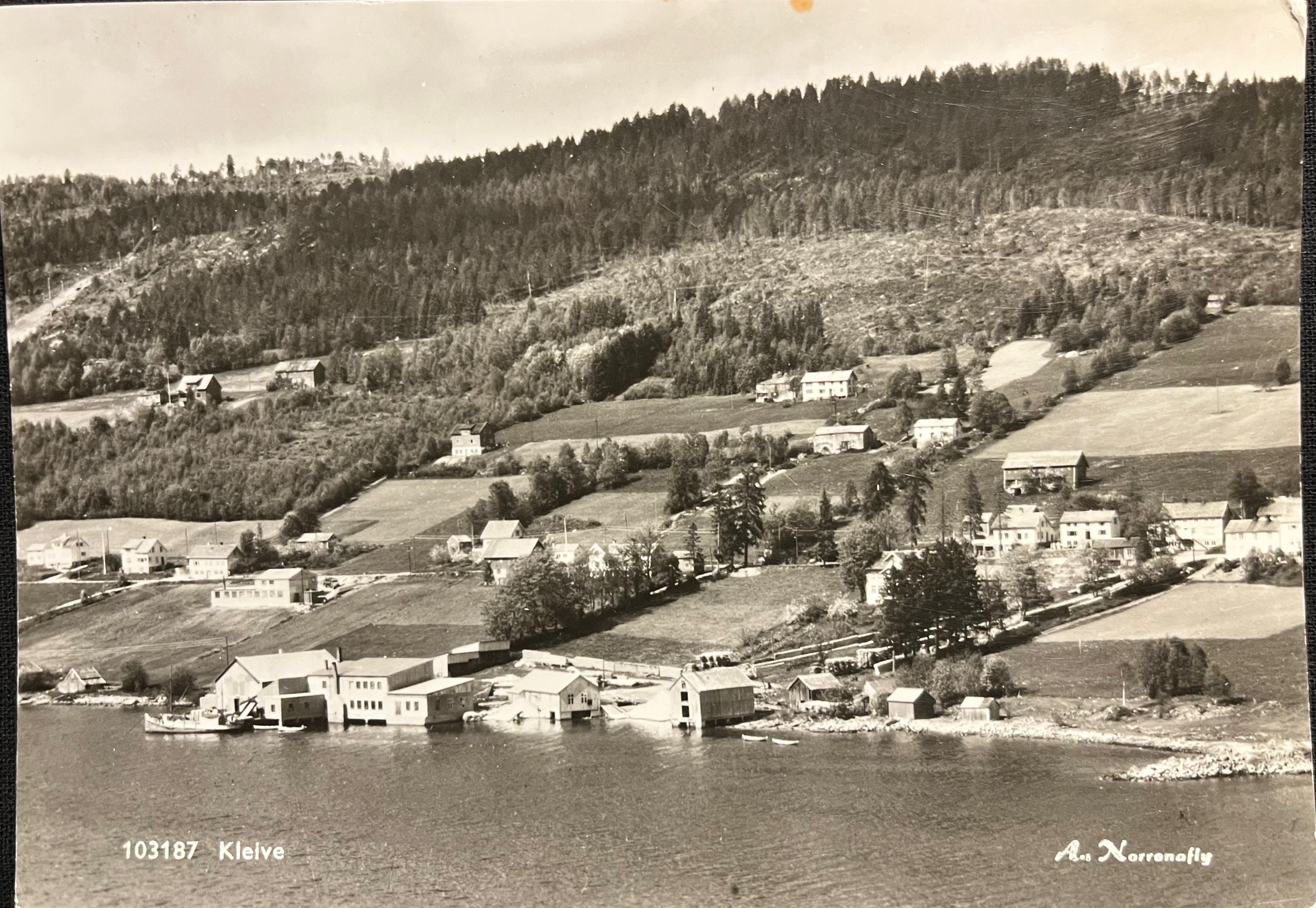 Kleive