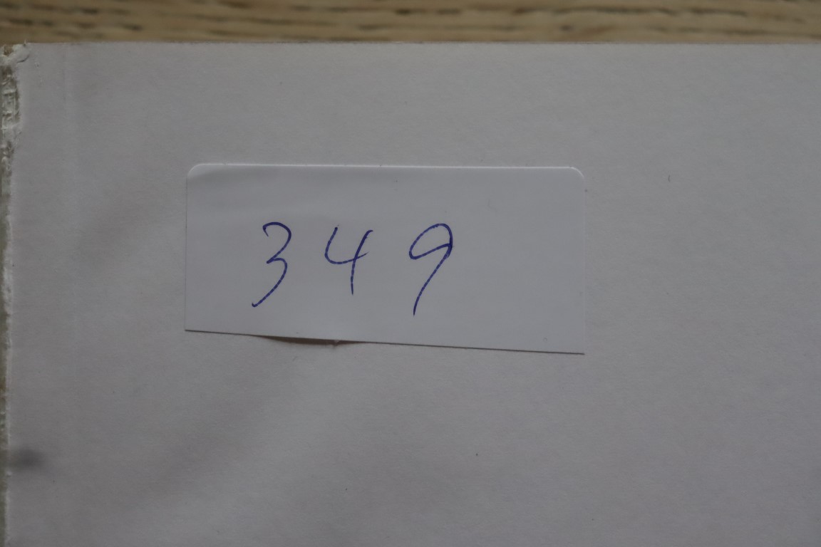 Rigtig god Bog med Tyske Rige + Stater + Omr. både **/*/§ (349)