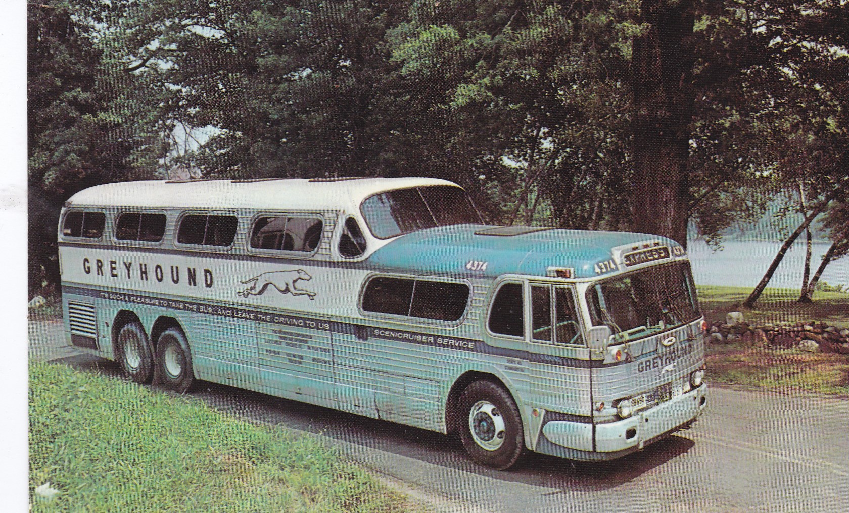 Greyhound Seniorcruiser.