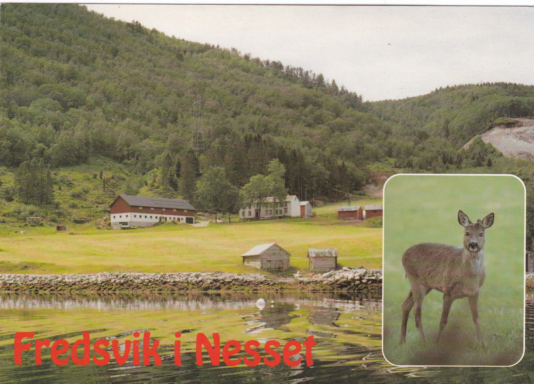 Fredsvik Fjord og Fjellferie, Eidsøra. Foto Bjørn Eikås