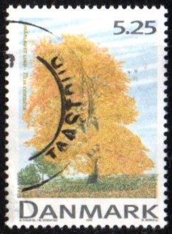 AFA 1198