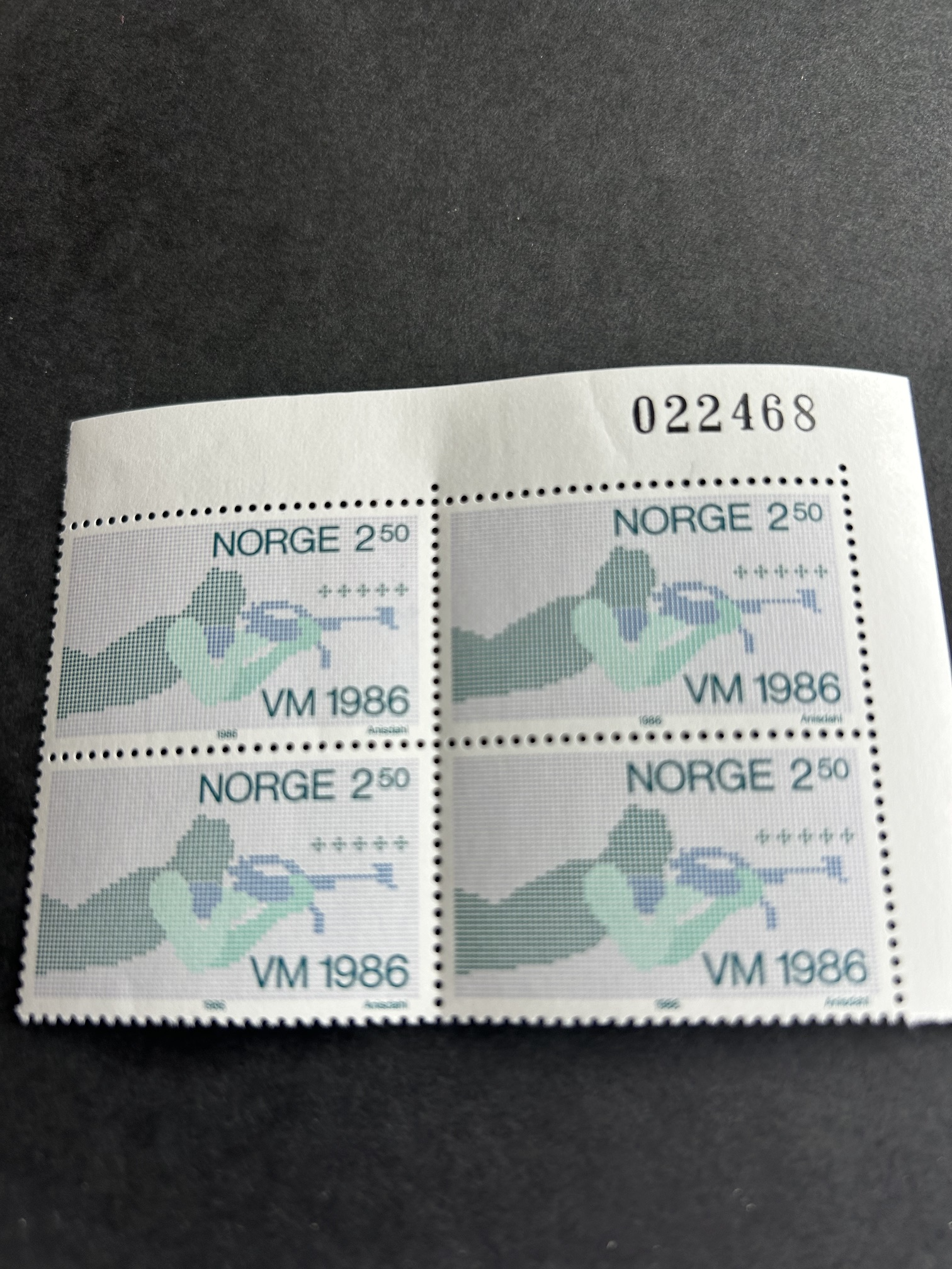 NK. 988 4 bl VM skiskyting