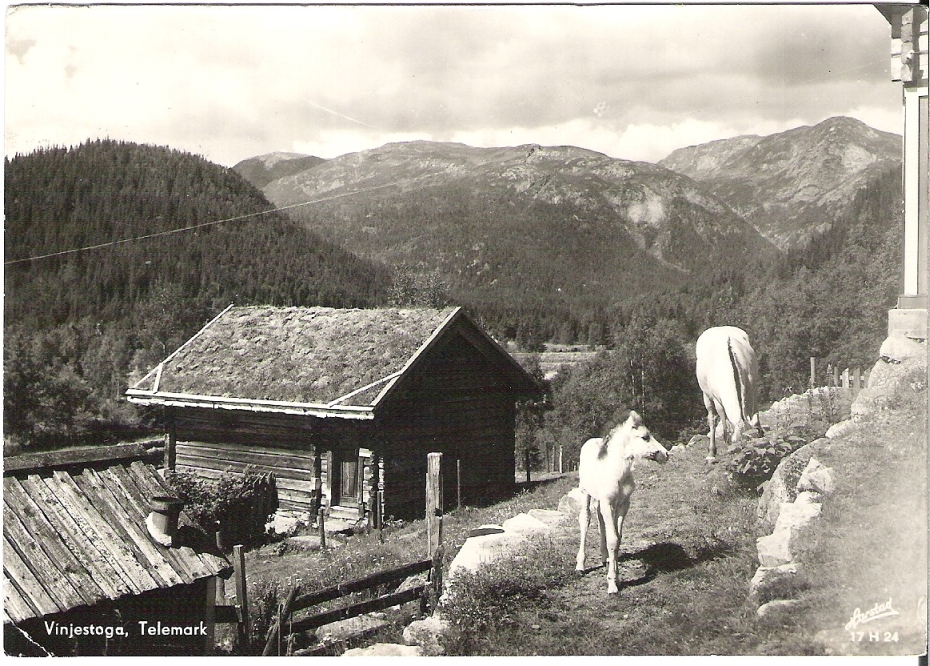 Vinjestoga 1947. Harstad 17 H 24