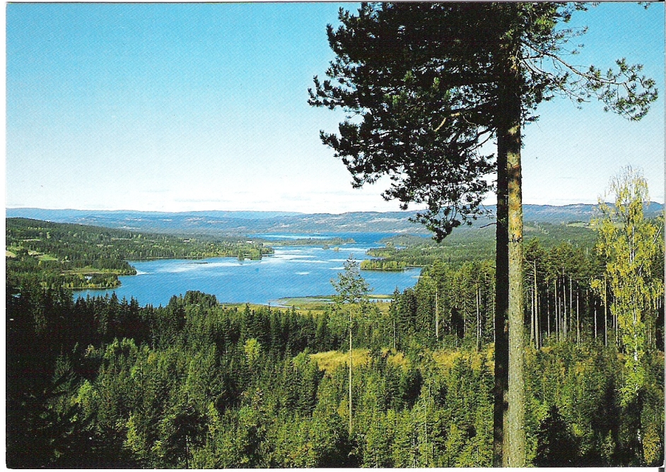 Utsikt over Næra, Åsmarka. Normann F-1-257
