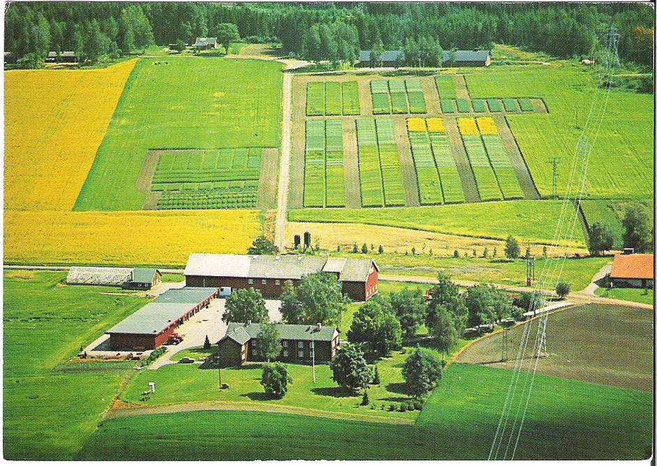 Felleskjøpet, Bjørke Gård. Normann