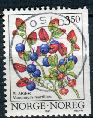 NK 1224 stemplet Oslo Br. 2