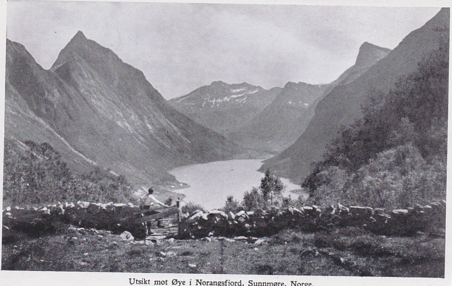 Utsikt mot Øye i Norangsfjord Sunnmøre -Ubrukt-Enerett Olav Aarøe