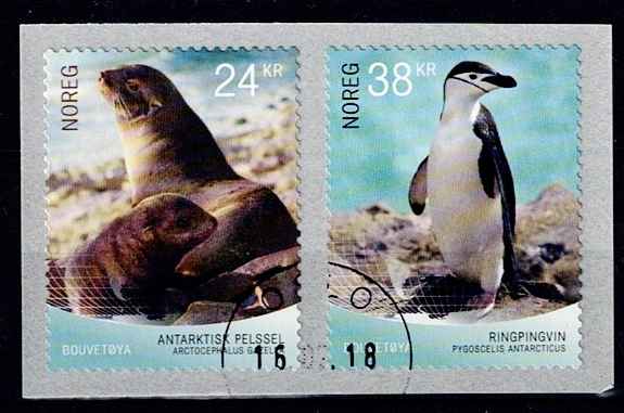 NK 1977-78. PENT STEMPLET