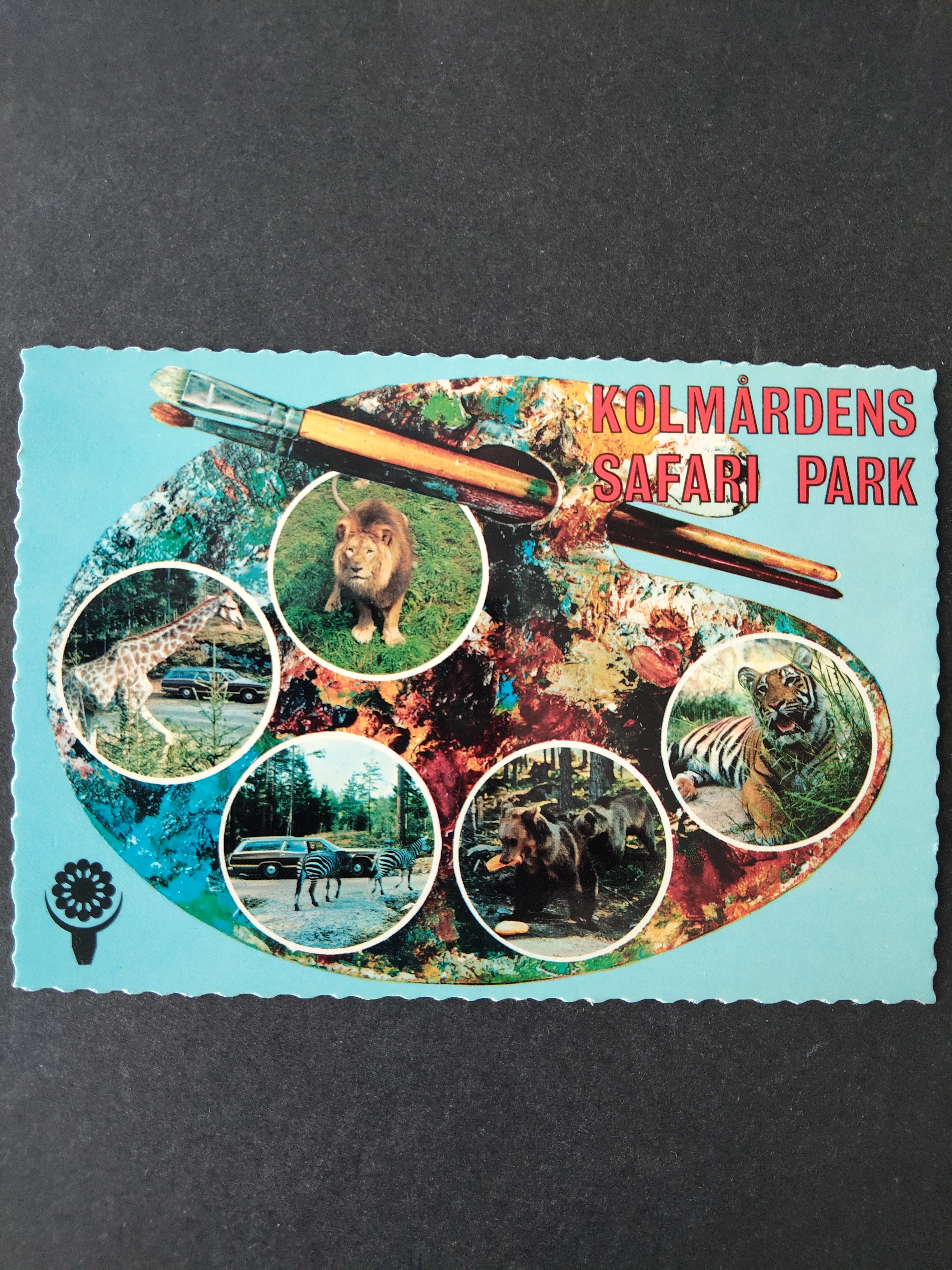 Sverige Kolmårdens safari park