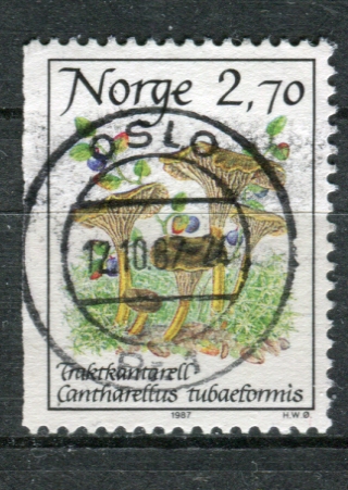 NK 1017 stemplet Oslo Br. 1