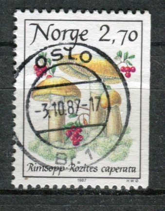 NK 1018 stemplet Oslo Br. 1