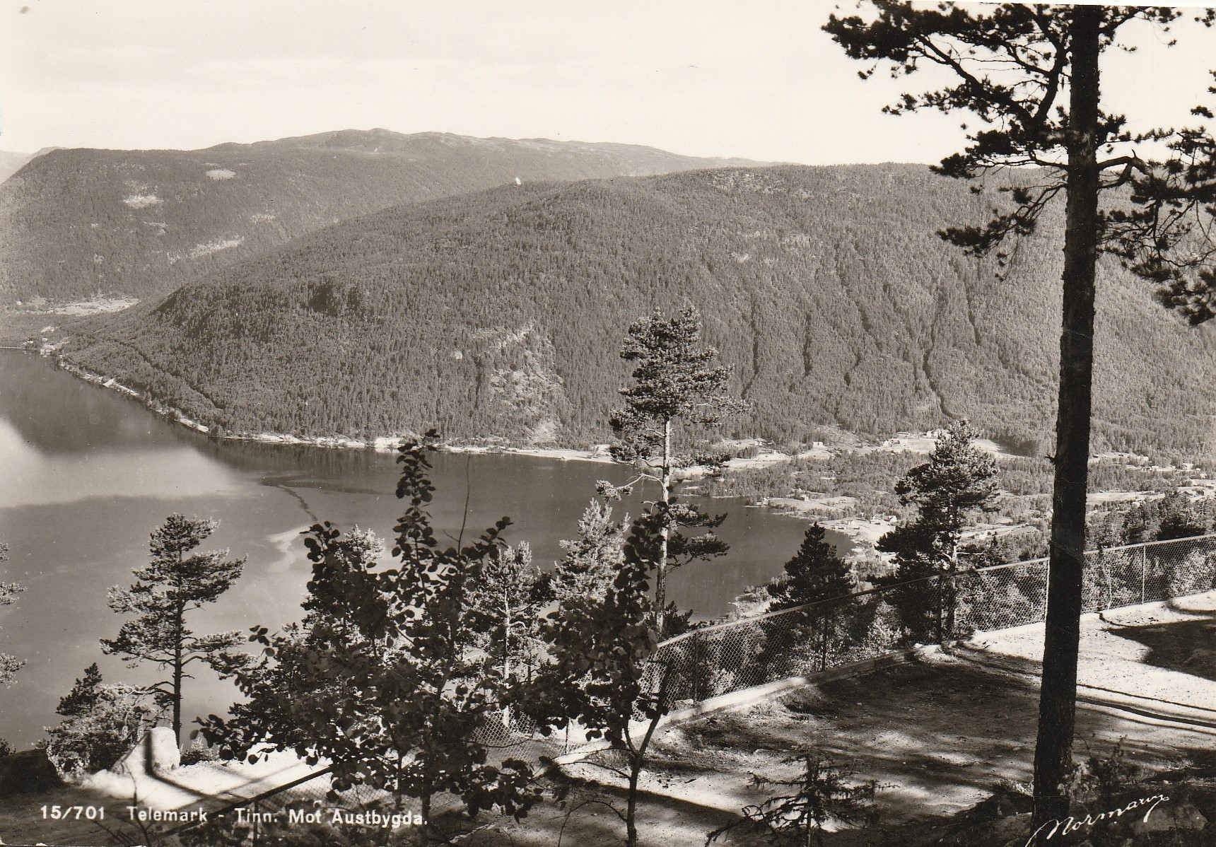 Eldre kort fra Tinn. Mot Austbygda . Normann 15/701