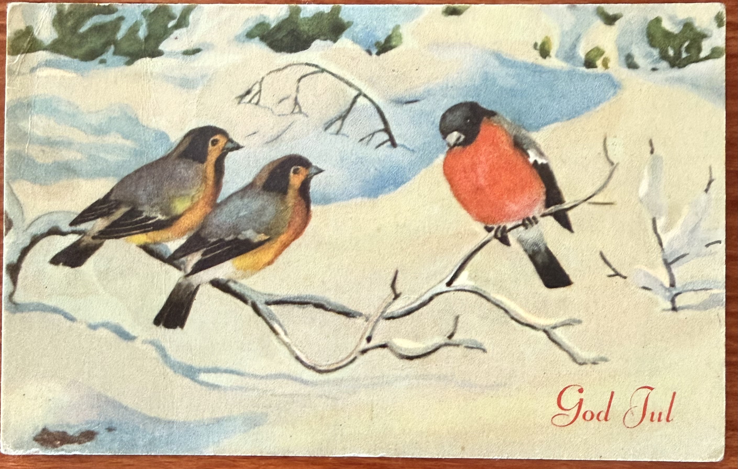 Fugler, OPPI 585/3, stpl.- 44