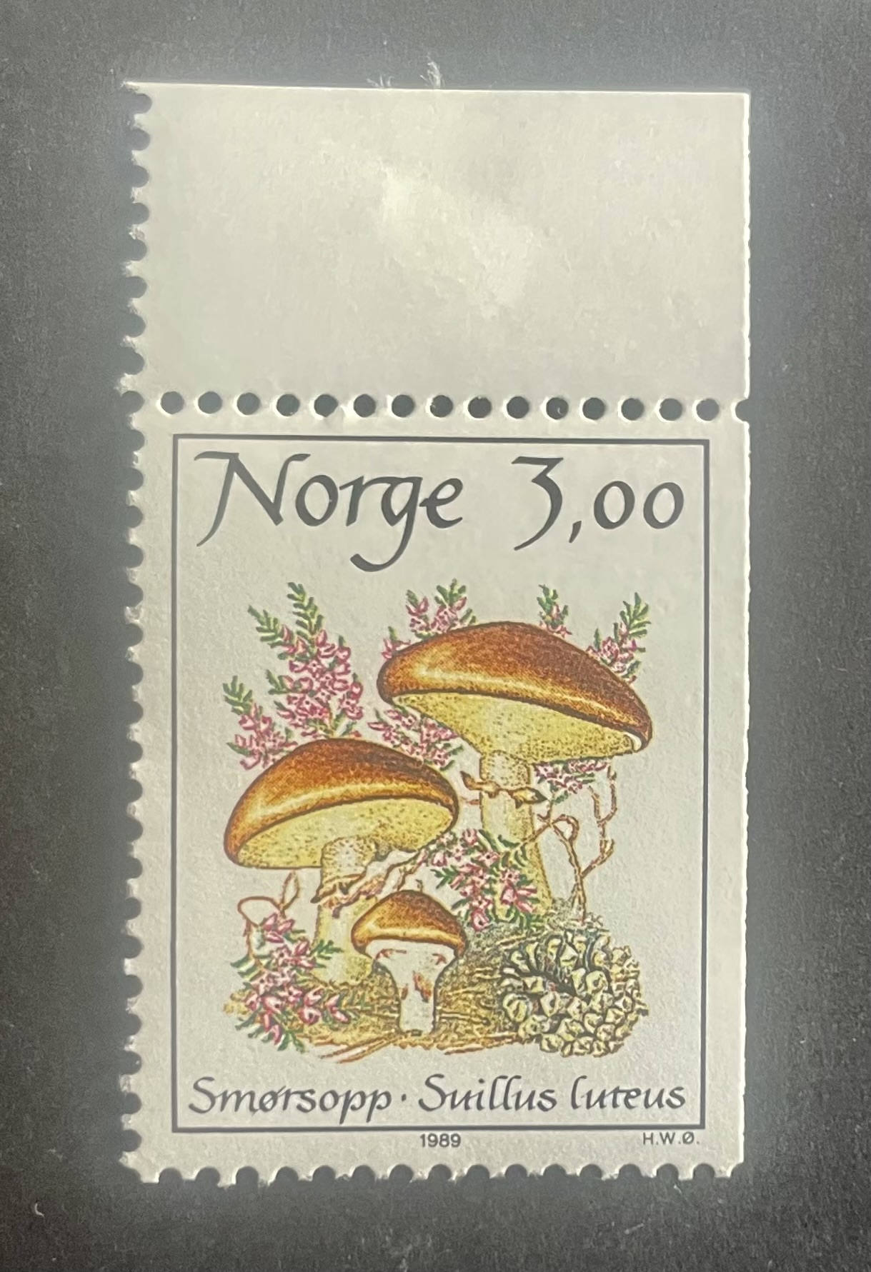 NORGE-NK 1062**MARGINAL ( 137 )