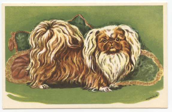 Hunden.    Michaelis.