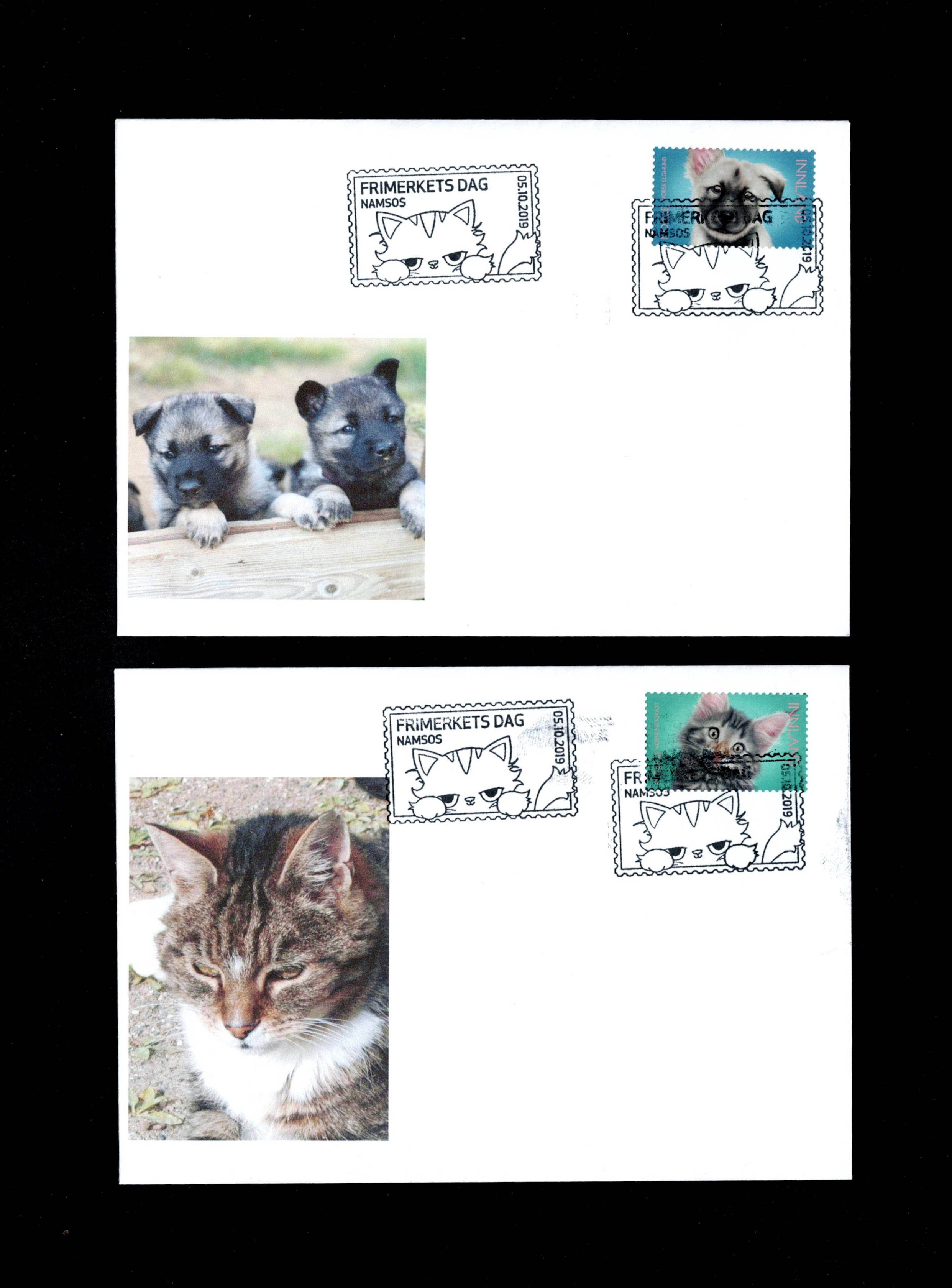 FDC 2019 NK2015-16 Kjæledyr NAMSOS