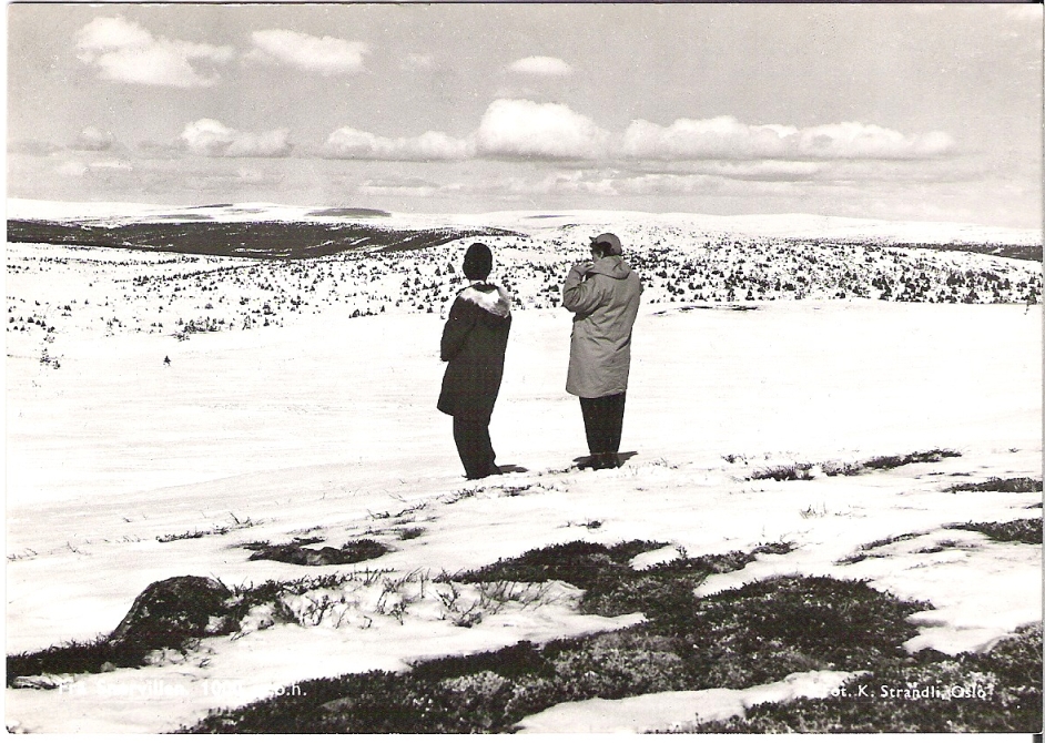 Fra Snørvillen. K.Strandli