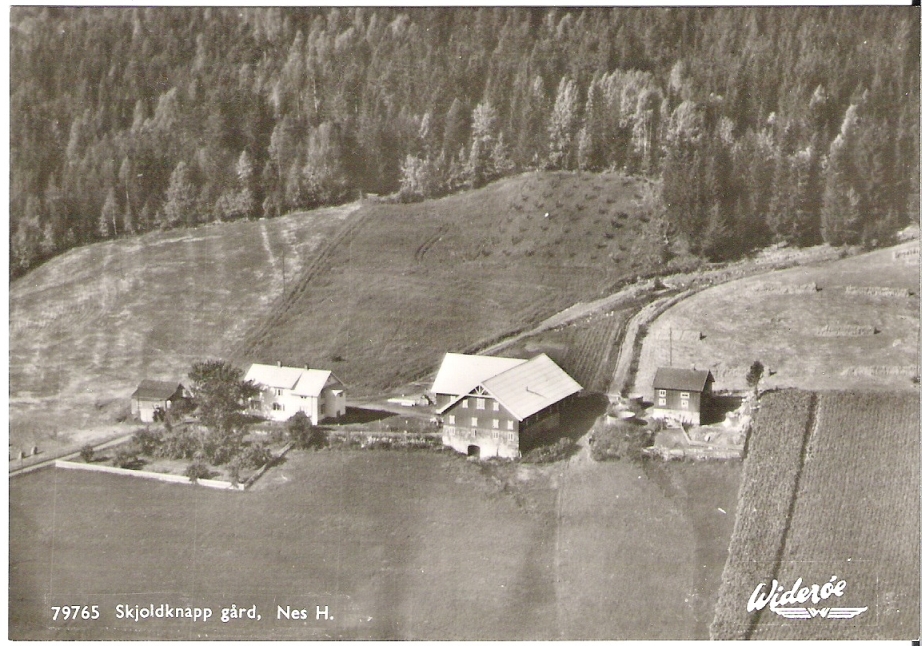 Skjoldknapp Gård, Nes H. Widerøe 79765