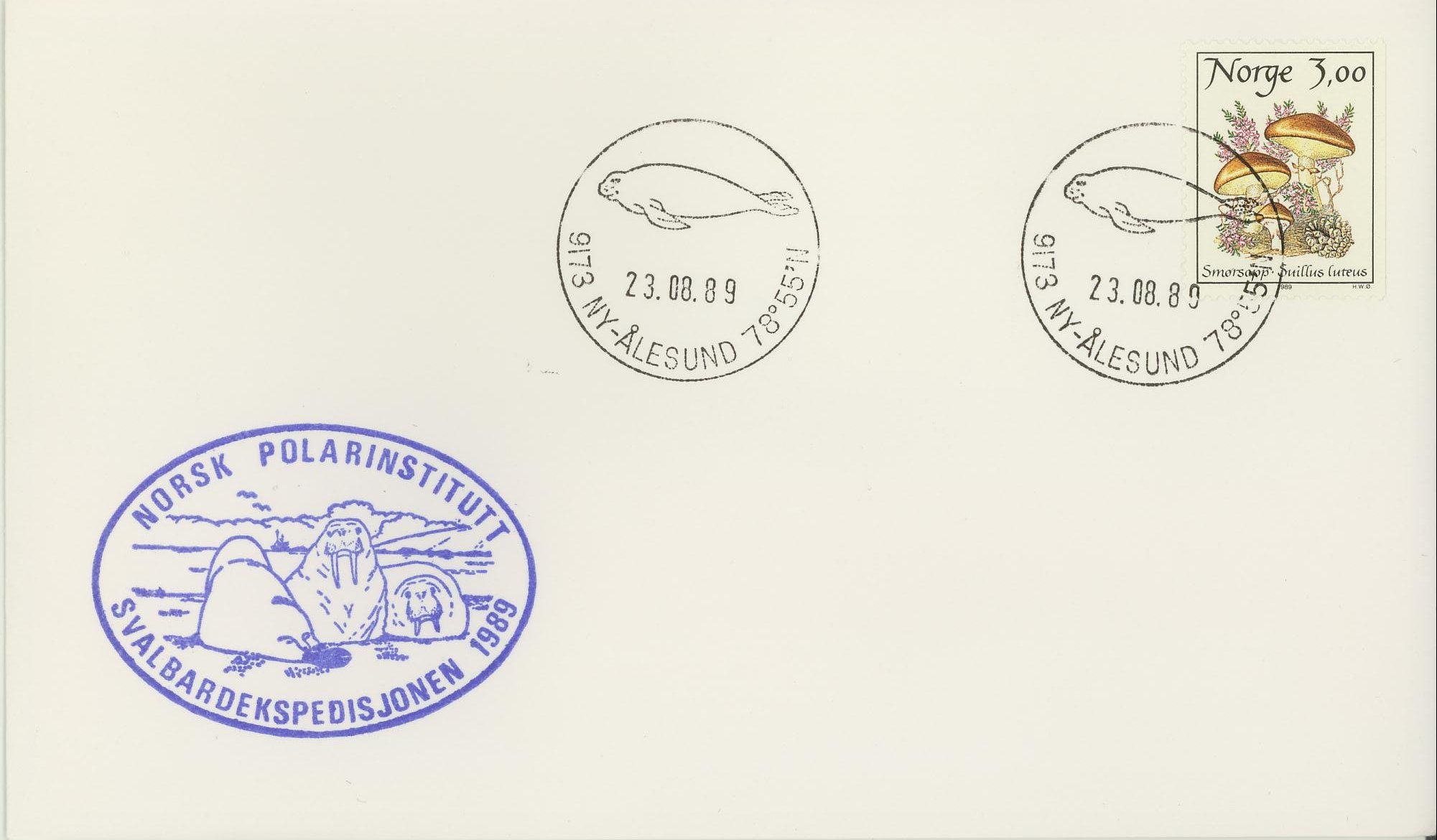 Norsk Polarinstitutt / Svalbardekspedisjonen 1989. Stemplet i Ny-Ålesund.