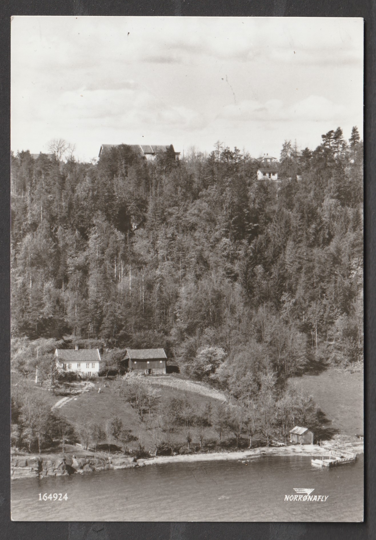 Utg. Norrønafly 164924