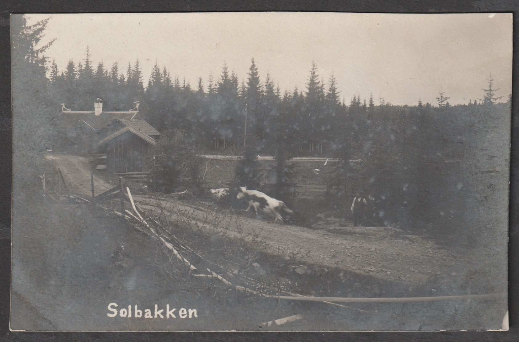Solbakken