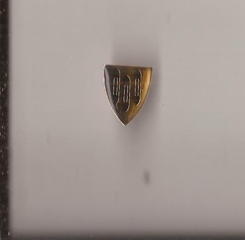 Pins - Vaksdal Hordaland