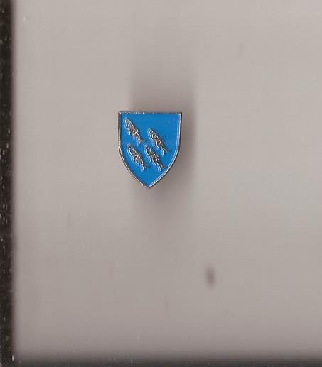 Pins - Austervoll Hordaland -