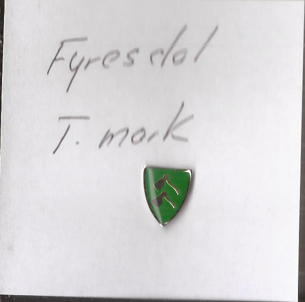 Pins - Fyresdal Telemark -
