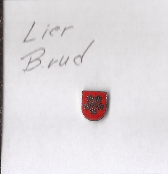 Pins - Lier Buskerud -