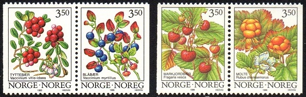 NK 1223-24x + 1253-54 - Skogsbær I + II **