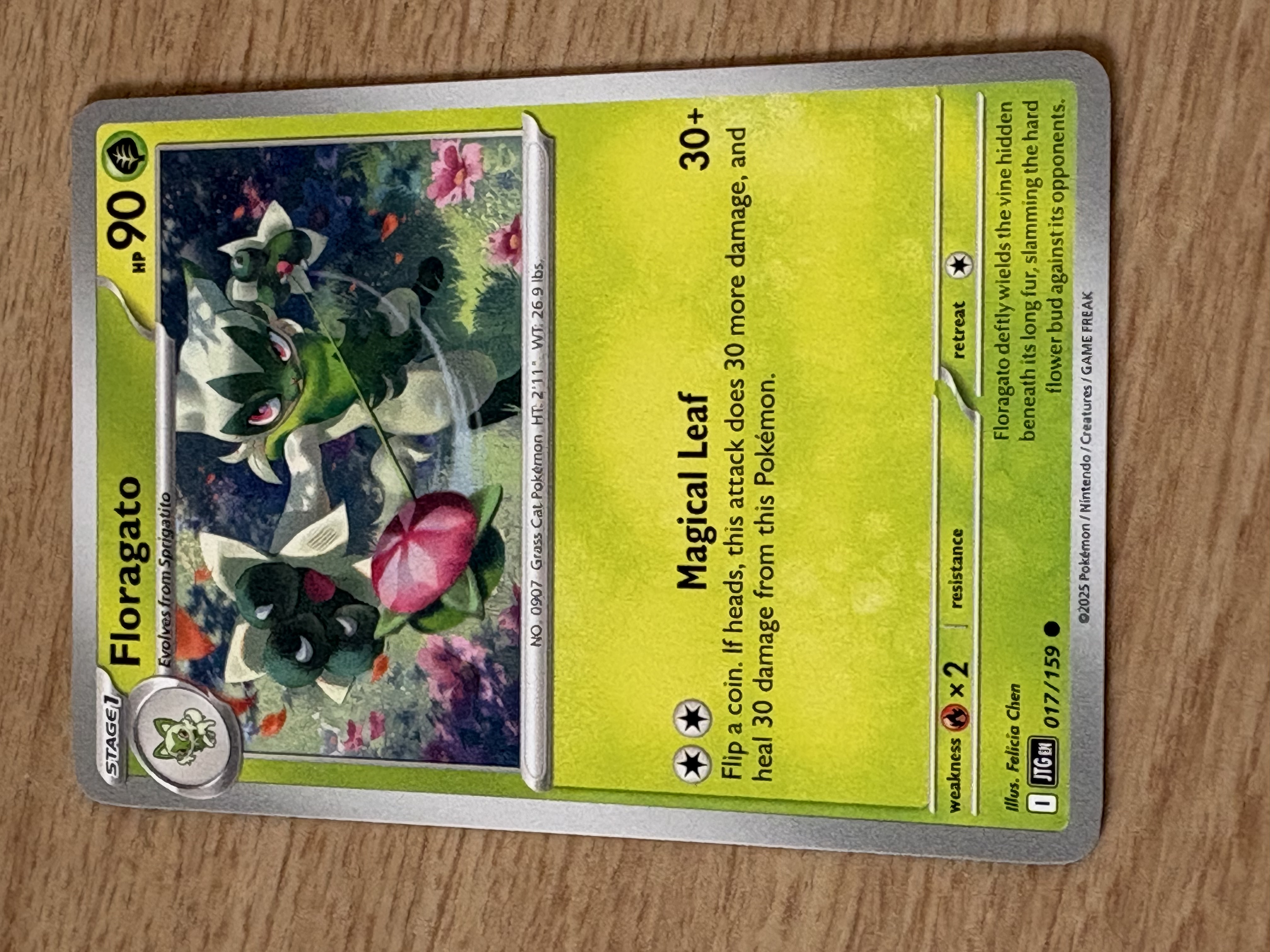 Floragato - 2025 - HP 90 - 017/159 - V