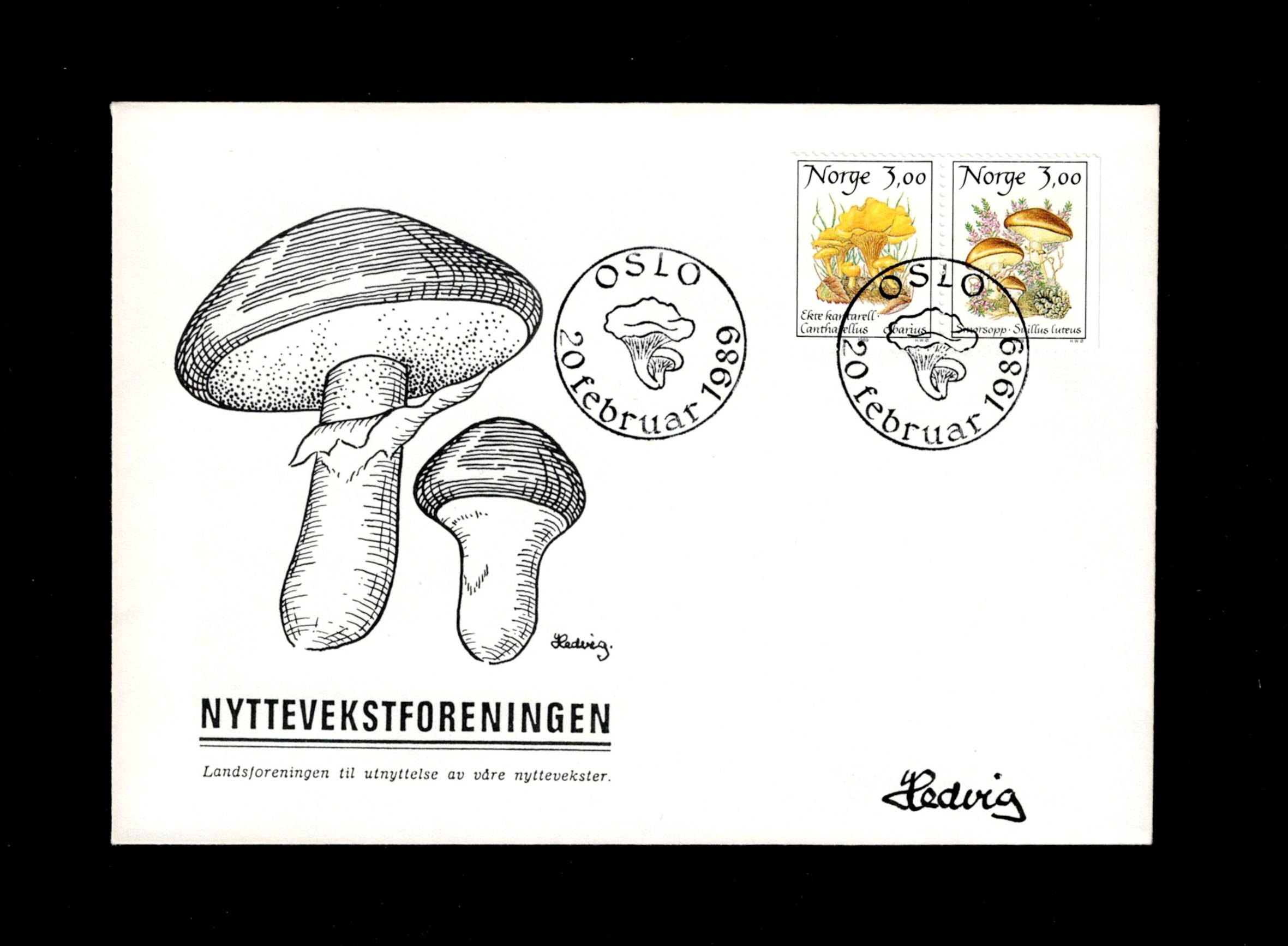 FDC 1989 NK1061-62 Matsopper III vignet Nyttevekstforeningen