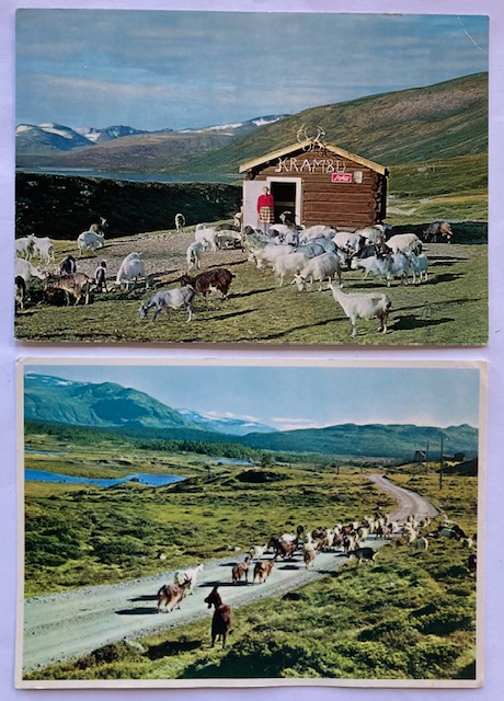 Valdresflyvegen med geiter 2 kort Solo reklame