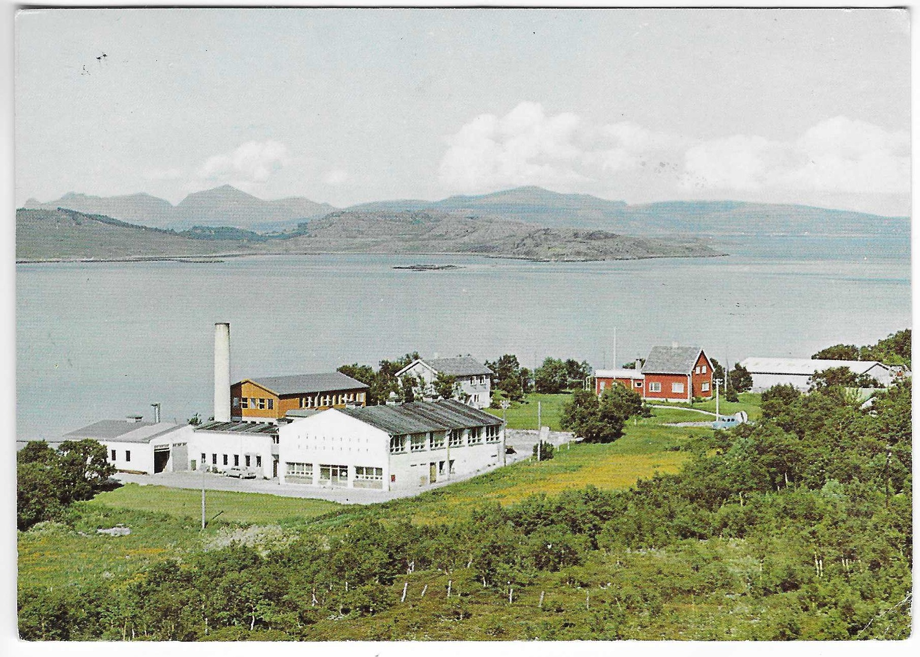 Steigen Meieri. Bogøy. Norrønafly.