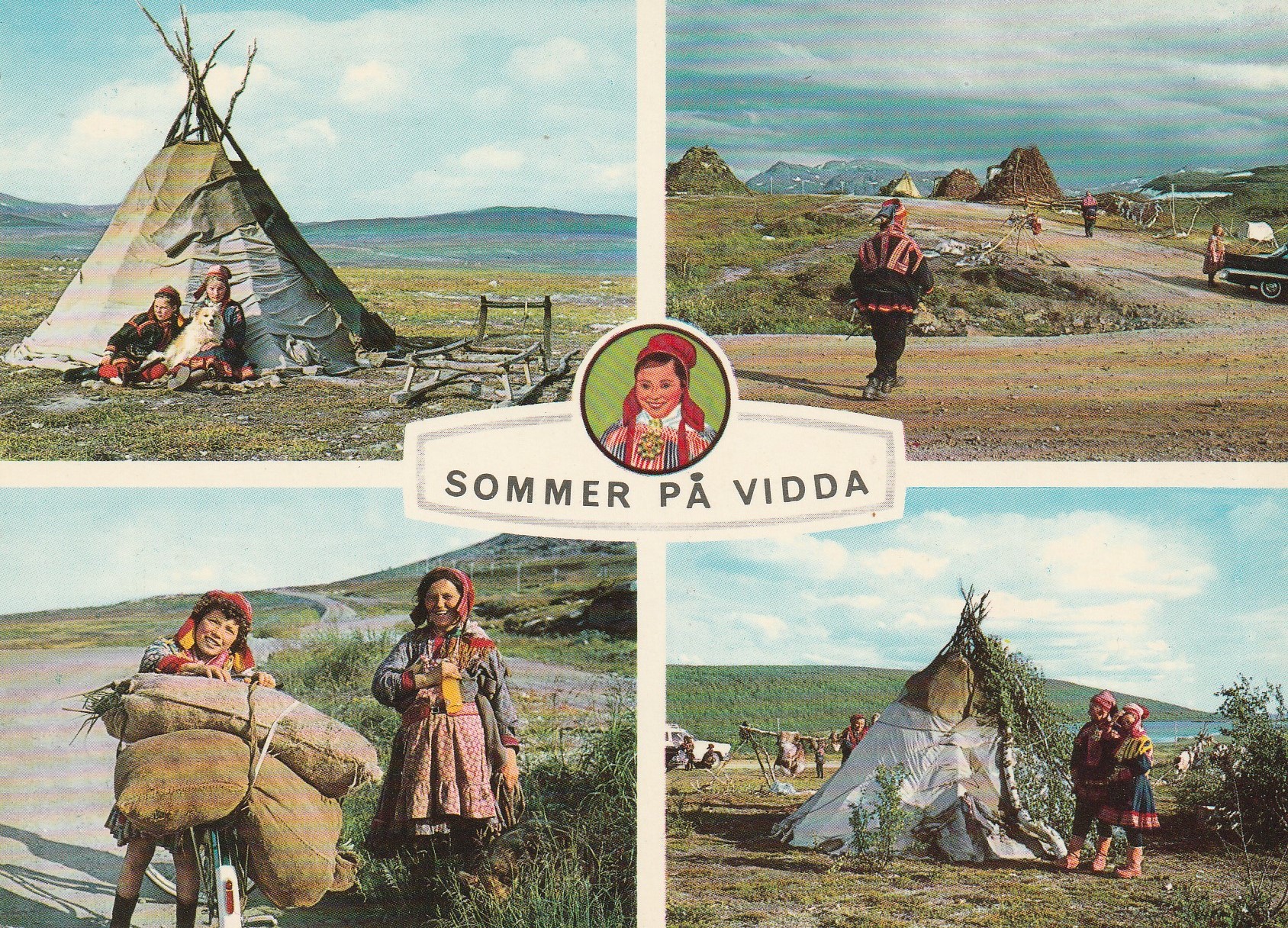 Eldre kort : Sommer på vidda .  Aune M-2655-5