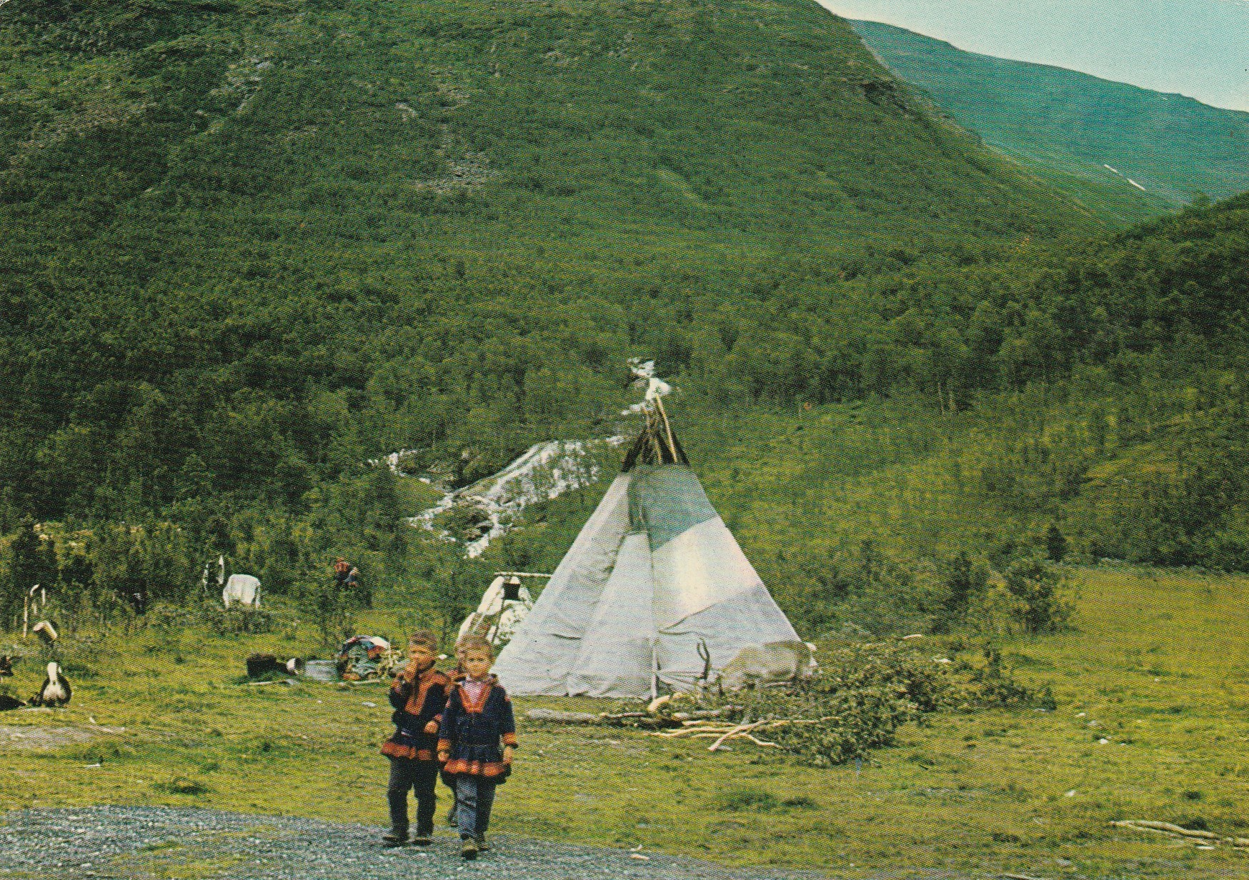 Eldre kort: Sameleir i Lavangsdalen , Troms .  Hønefoss 536