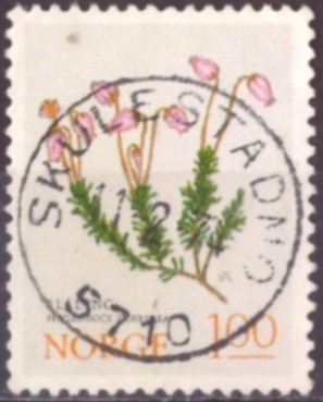 NK 721. PRAKT=SKULESTADMO 11-2-74=