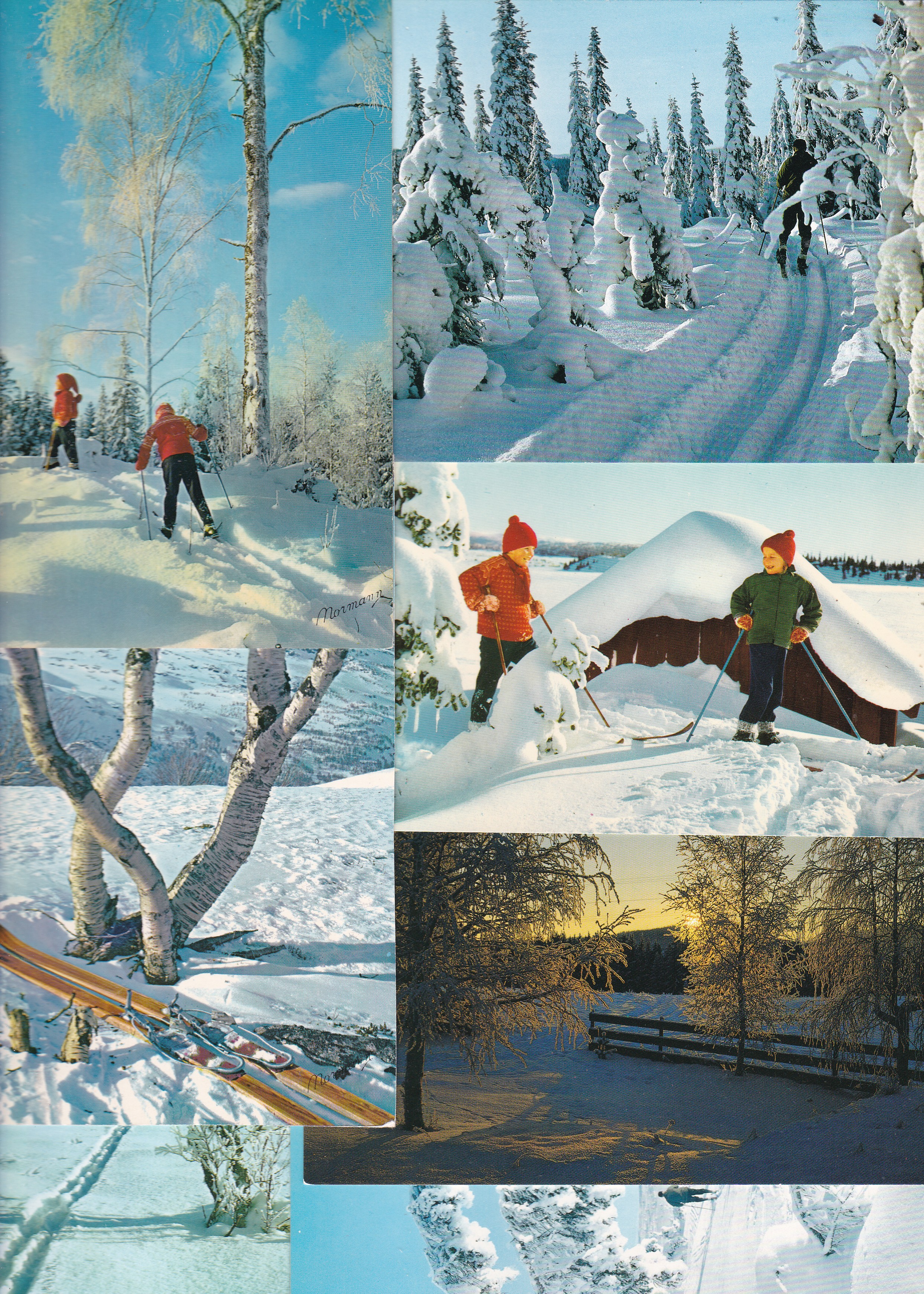 Vinter i Norge: 8 forskjellige kort