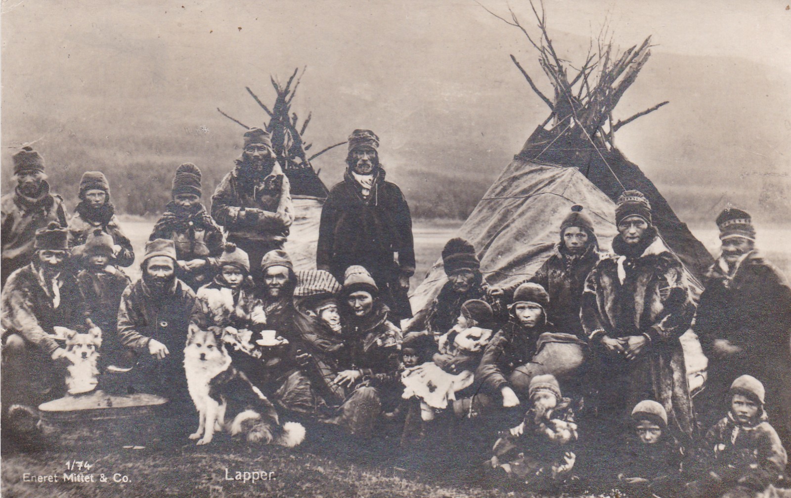 Lapper ( familie) (Mittet  1/74)