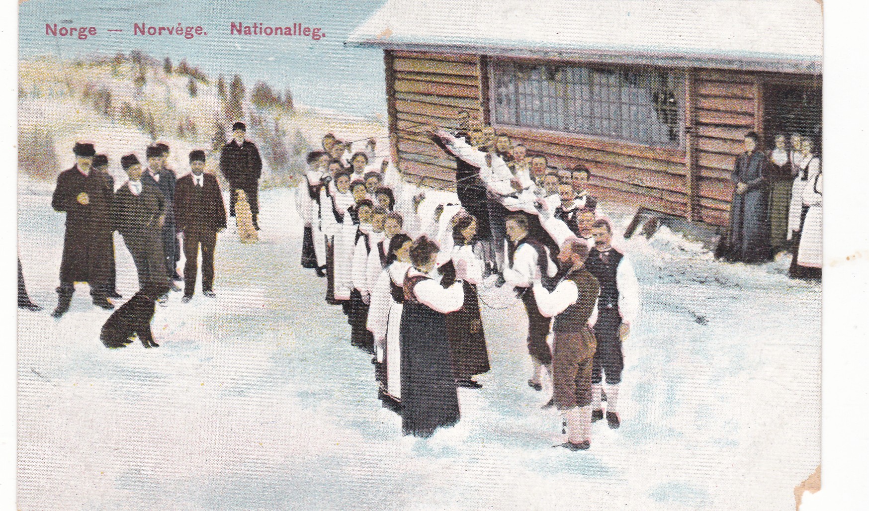 Nationalleg ( N.K. No 2713)