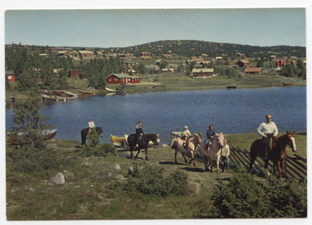 Normann. F-1-73 Heste ved Sjusjøen.