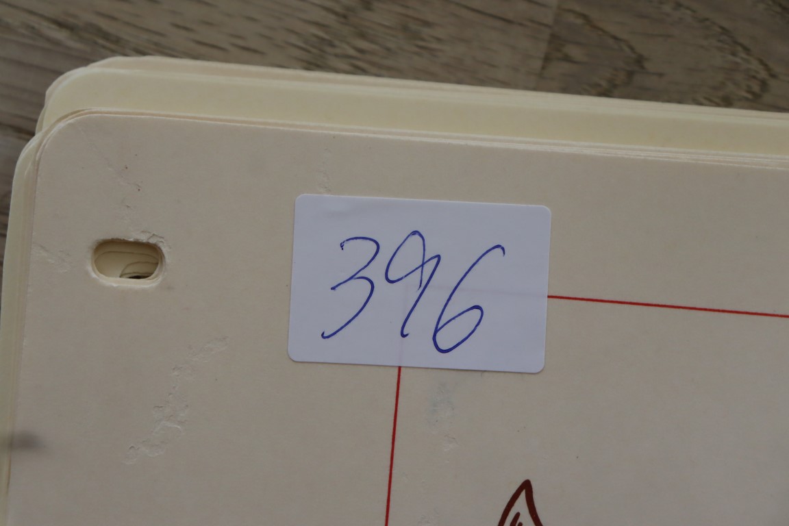 Flot samling med Norge (396)