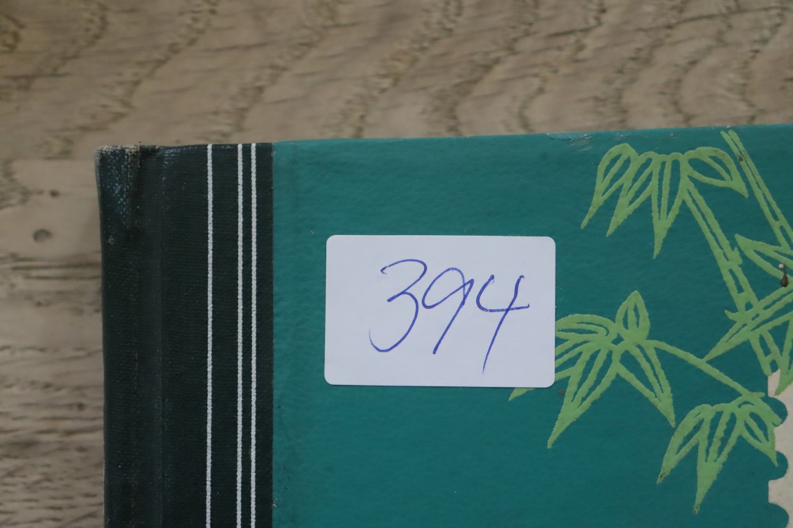 God Bog med Asien (394)