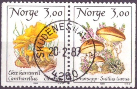 NK 1061/62. PRAKT=SKUDENESHAVN 20-2-89=