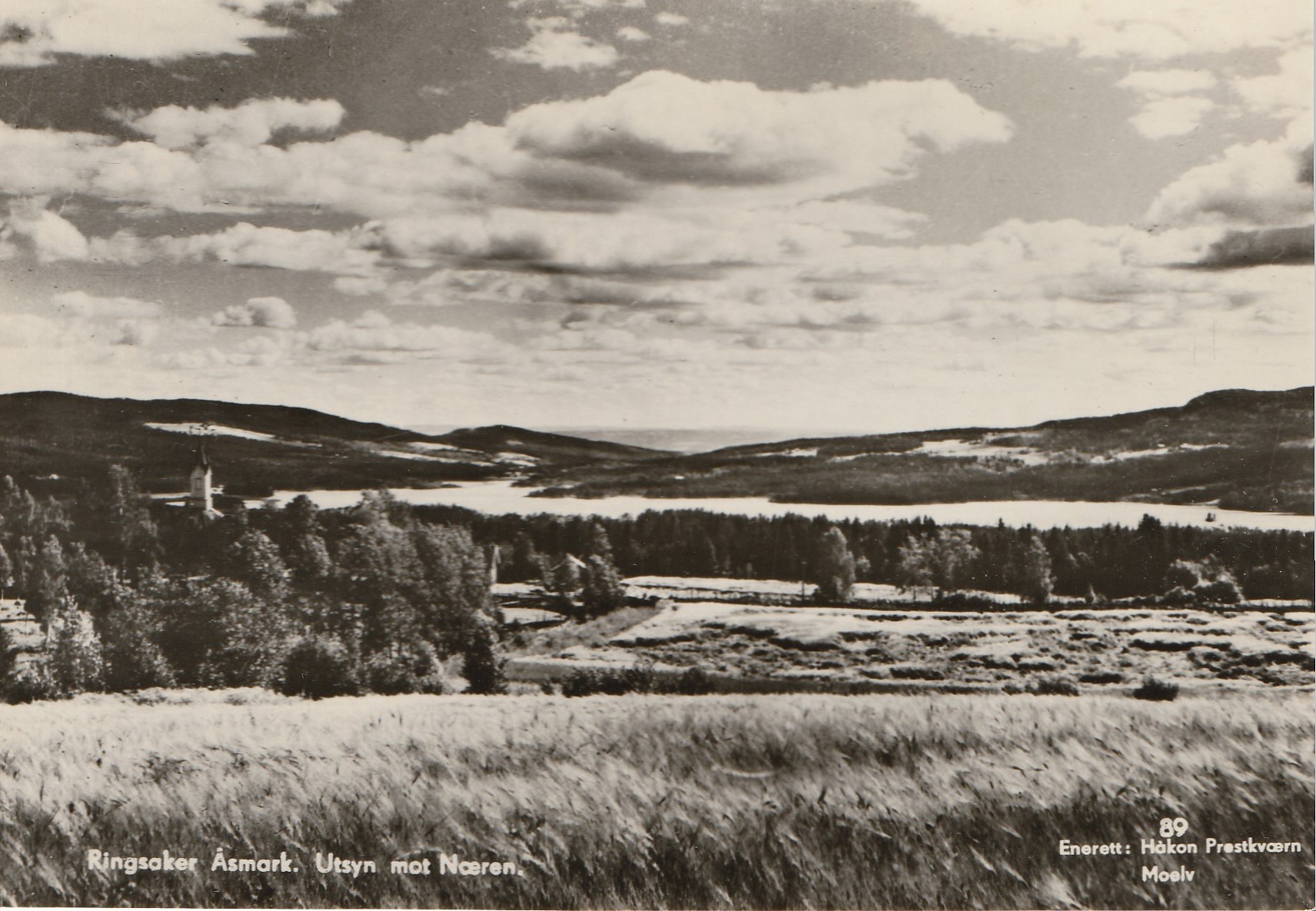 Eldre kort : Ringsaker Åsmark.  Utsyn mot Næren . Prestkværn 89